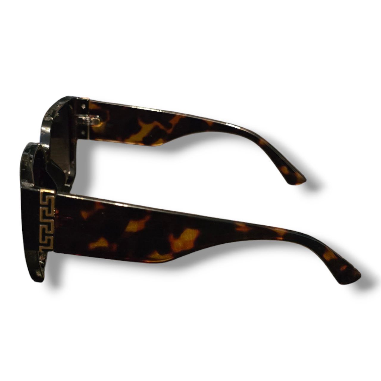 Wayfarer ženske lakirane sunčane naočale C64-3