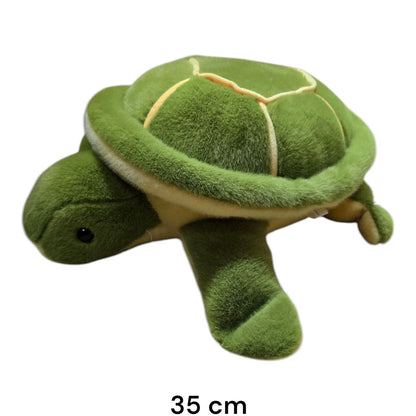 Plišana Kornjača 35 cm - Feniks-shop