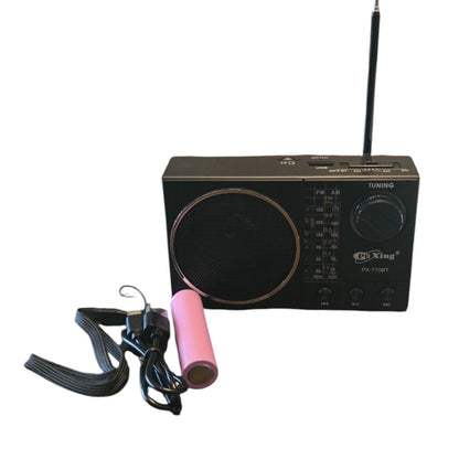 Prijenosni radio PX-711BT