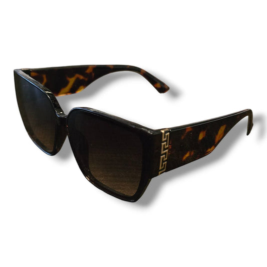 Wayfarer ženske lakirane sunčane naočale C64-3